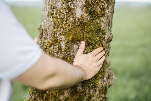 AMBRUS - Holistic Healing - Nahe Quelle - Erdung - Umarmung Baum