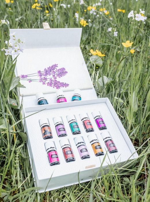 AMBRUS - Holistic Healing - Young Living - ätherische Öle
